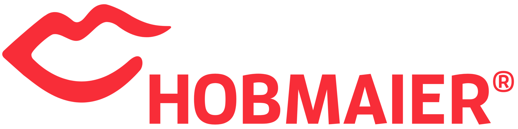 Logo Unternehmen Dirk Hobmaier GmbH